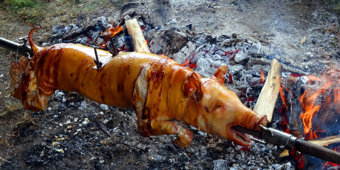 schwein grillen