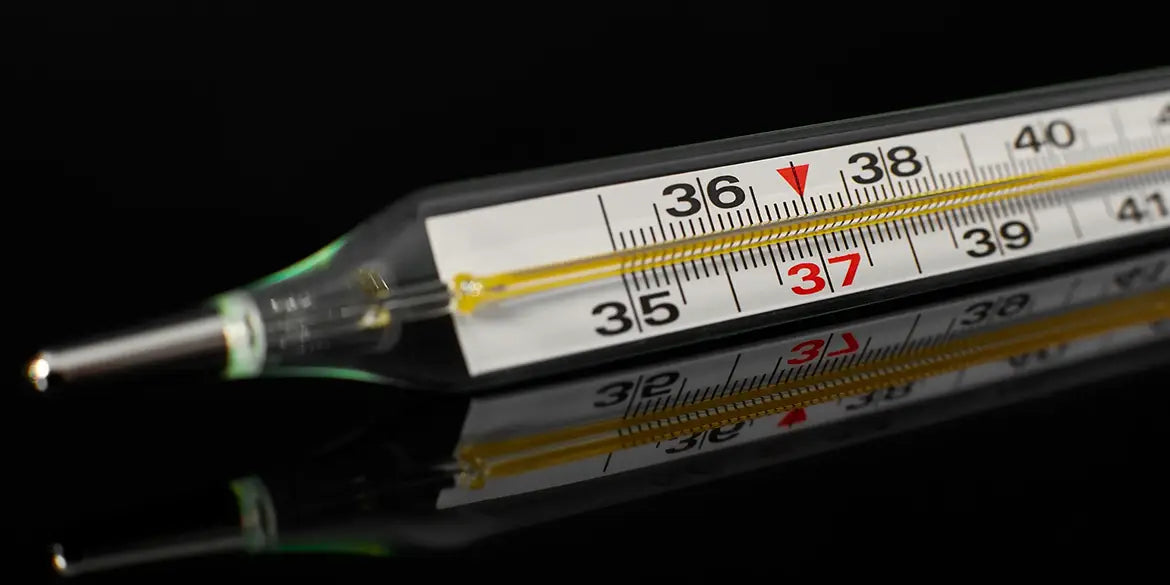 fleisch grillen garzeiten temperatur