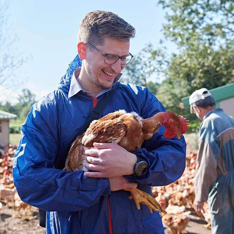 Gefluegel in Freilandhaltung