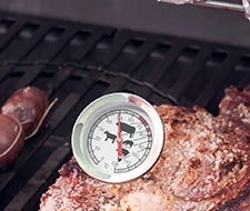 grillthermometer hähnchen grillen temperatur