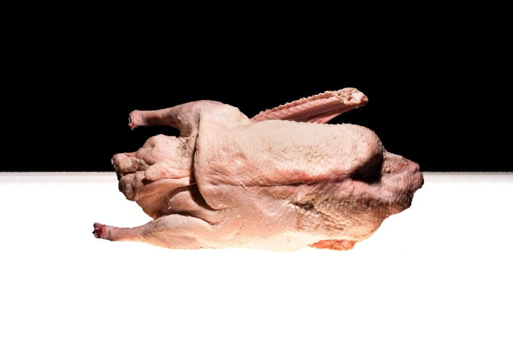 German free-range goose