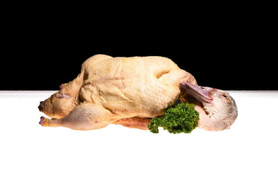 free-range duck