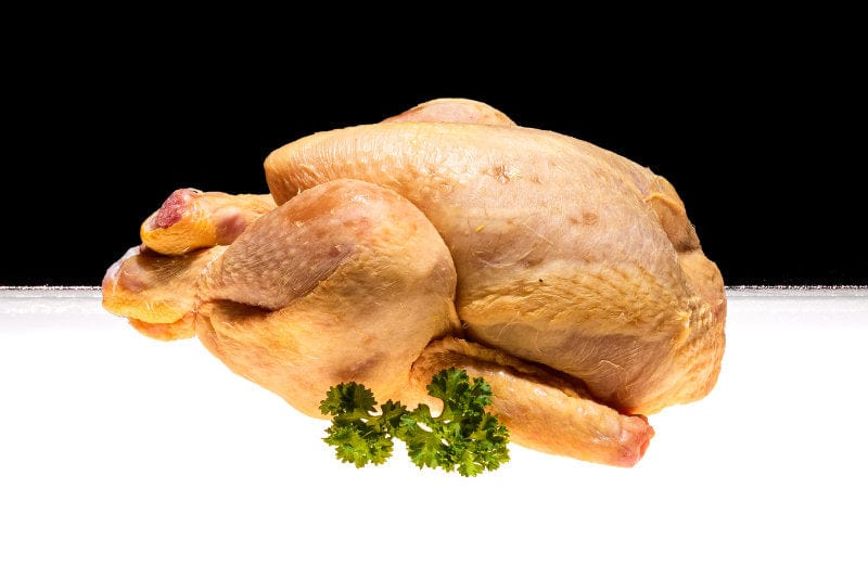 Maisstubenküken