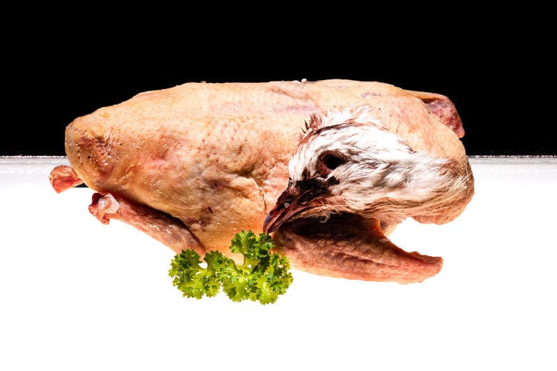 Täubchen